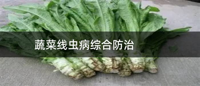 蔬菜线虫病综合防治