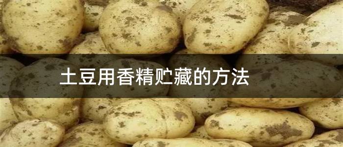 土豆用香精贮藏的方法