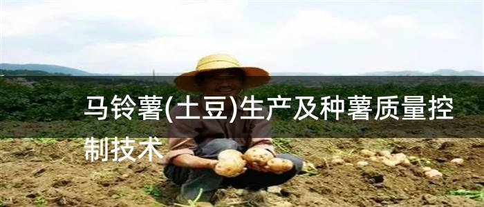 马铃薯(土豆)生产及种薯质量控制技术