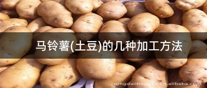 马铃薯(土豆)的几种加工方法