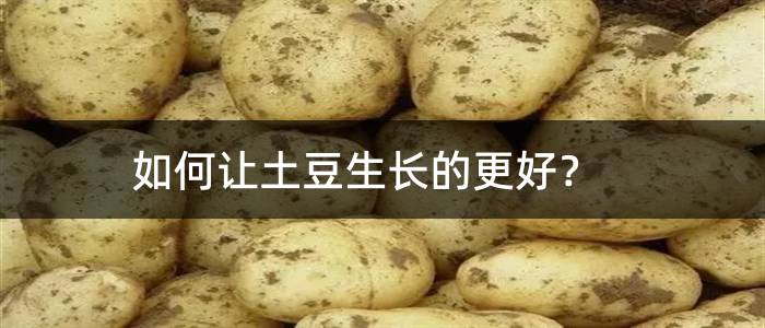 如何让土豆生长的更好？