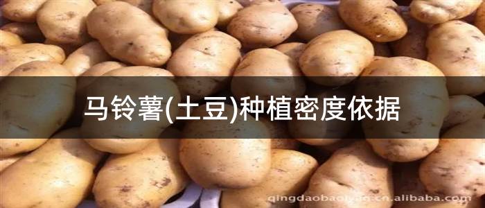 马铃薯(土豆)种植密度依据