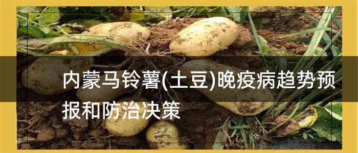 内蒙马铃薯(土豆)晚疫病趋势预报和防治决策