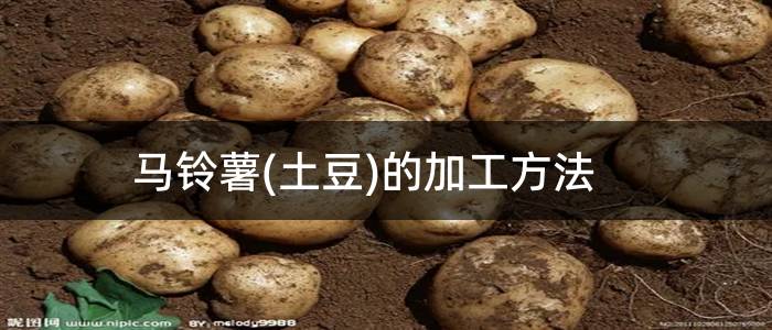 马铃薯(土豆)的加工方法
