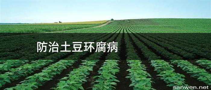 防治土豆环腐病