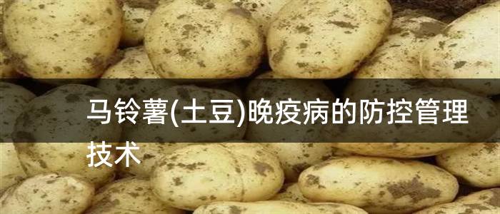 马铃薯(土豆)晚疫病的防控管理技术