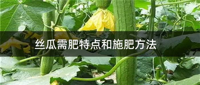 丝瓜需肥特点和施肥方法