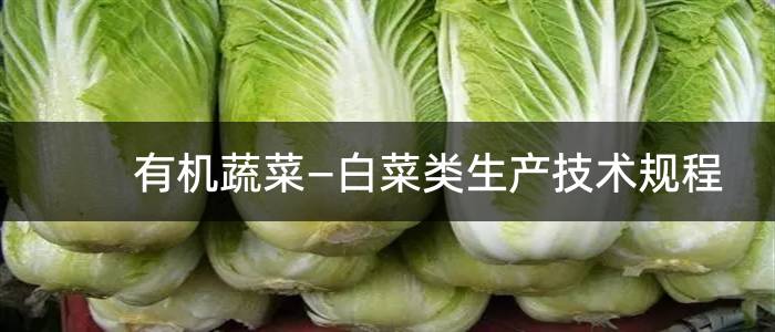 有机蔬菜—白菜类生产技术规程