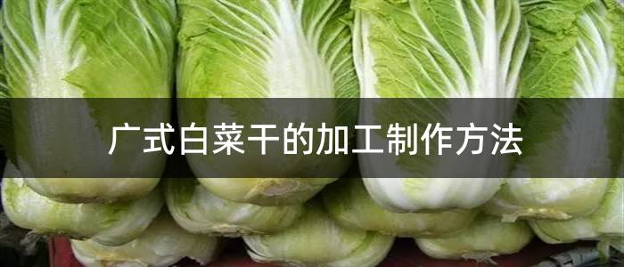 广式白菜干的加工制作方法