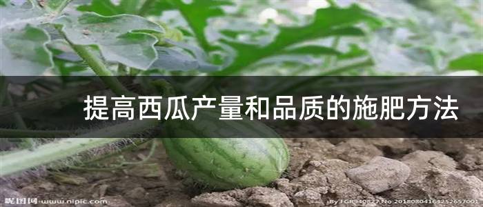 提高西瓜产量和品质的施肥方法