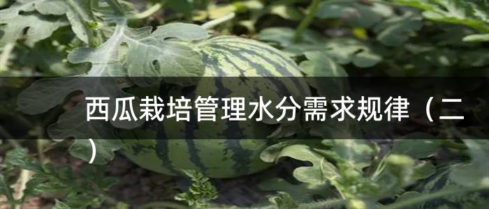 西瓜栽培管理水分需求规律（二）