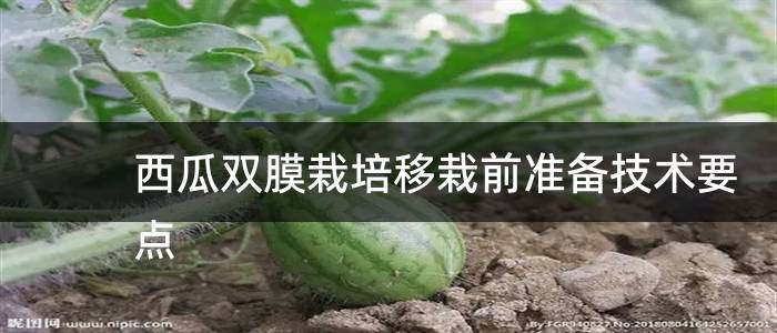 西瓜双膜栽培移栽前准备技术要点