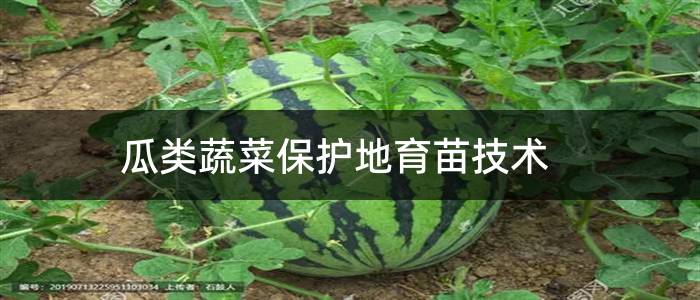 瓜类蔬菜保护地育苗技术