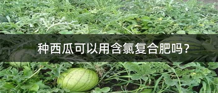 种西瓜可以用含氯复合肥吗？