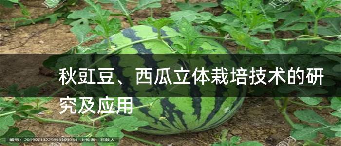秋豇豆、西瓜立体栽培技术的研究及应用