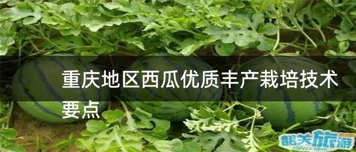 重庆地区西瓜优质丰产栽培技术要点
