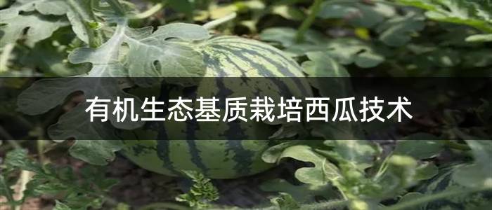 有机生态基质栽培西瓜技术
