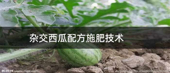 杂交西瓜配方施肥技术