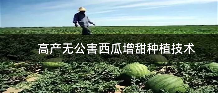 高产无公害西瓜增甜种植技术