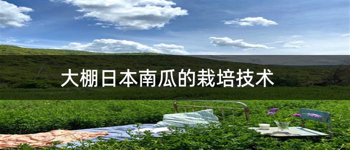 大棚日本南瓜的栽培技术