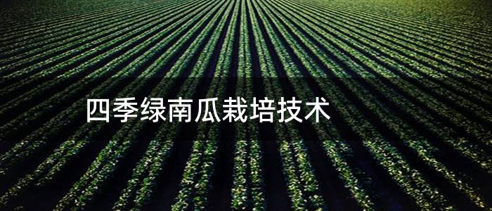 四季绿南瓜栽培技术