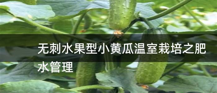 无刺水果型小黄瓜温室栽培之肥水管理