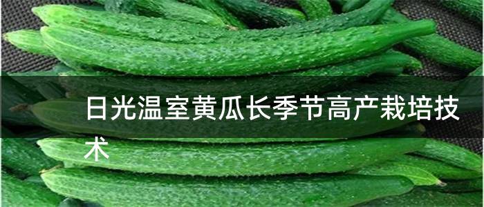 日光温室黄瓜长季节高产栽培技术
