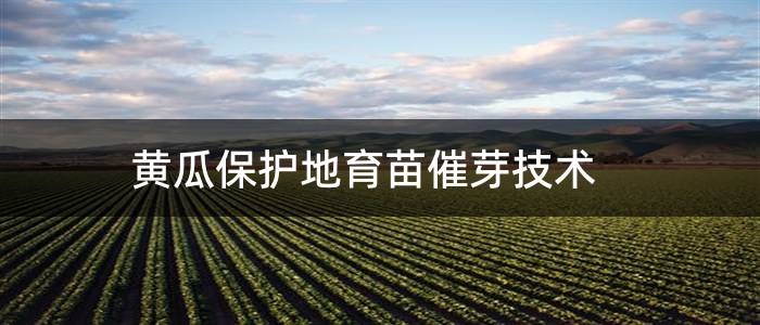 黄瓜保护地育苗催芽技术