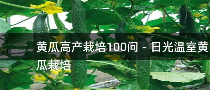 黄瓜高产栽培100问－日光温室黄瓜栽培