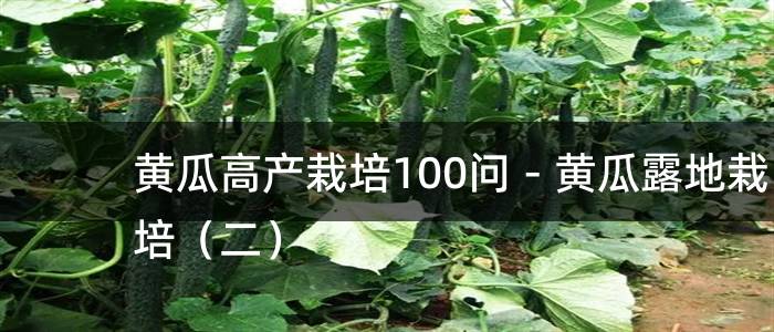黄瓜高产栽培100问－黄瓜露地栽培（二）