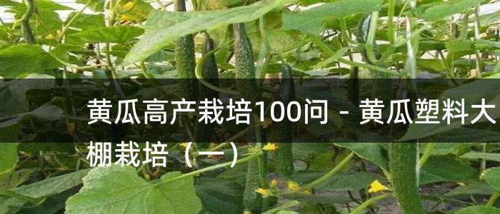 黄瓜高产栽培100问－黄瓜塑料大棚栽培（一）
