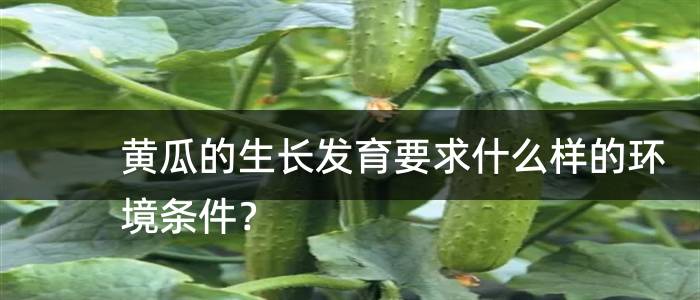 黄瓜的生长发育要求什么样的环境条件？