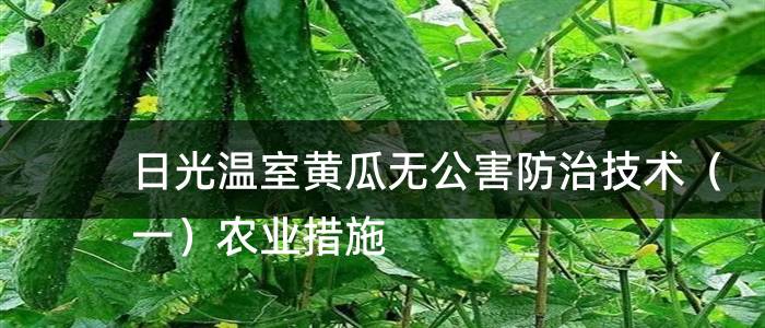 日光温室黄瓜无公害防治技术（一）农业措施