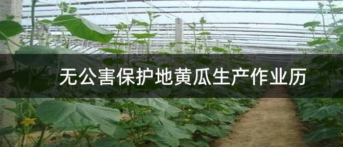 无公害保护地黄瓜生产作业历