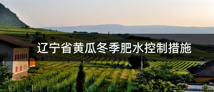 辽宁省黄瓜冬季肥水控制措施