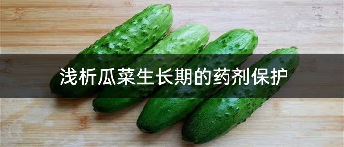 浅析瓜菜生长期的药剂保护