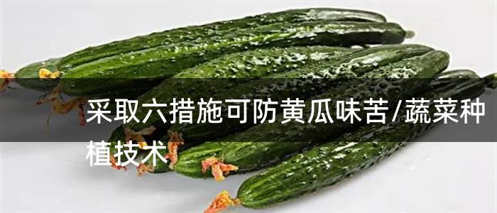采取六措施可防黄瓜味苦/蔬菜种植技术