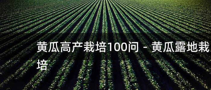 黄瓜高产栽培100问－黄瓜露地栽培