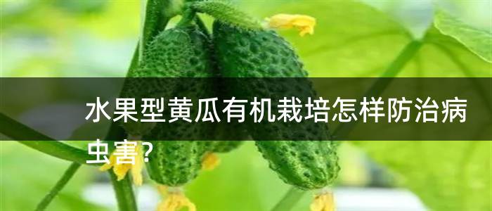 水果型黄瓜有机栽培怎样防治病虫害？