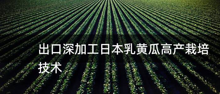 出口深加工日本乳黄瓜高产栽培技术