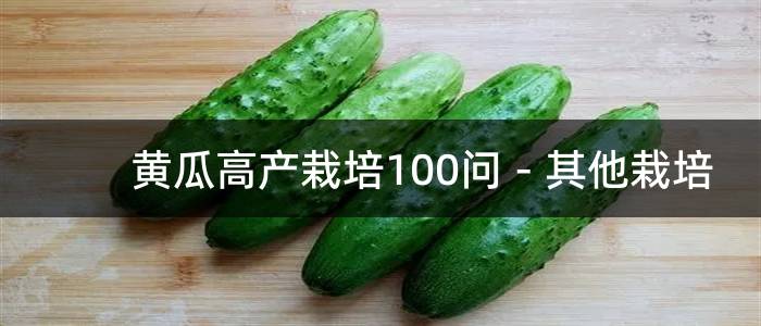 黄瓜高产栽培100问－其他栽培