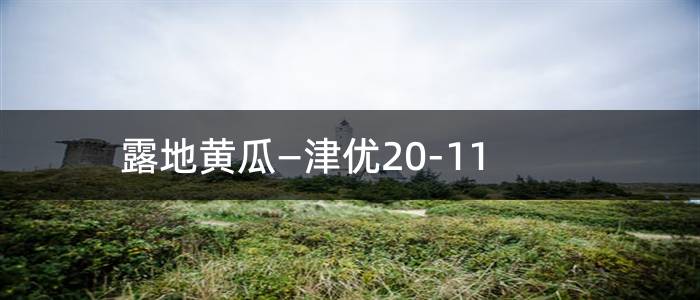露地黄瓜—津优20-11