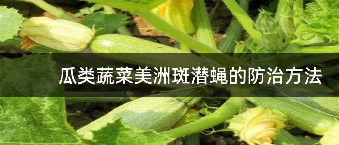 瓜类蔬菜美洲斑潜蝇的防治方法