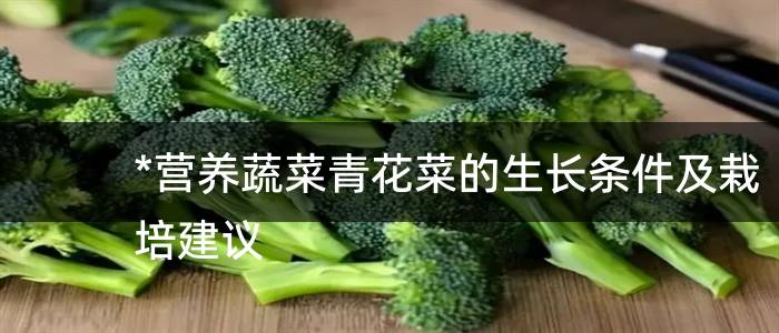 *营养蔬菜青花菜的生长条件及栽培建议