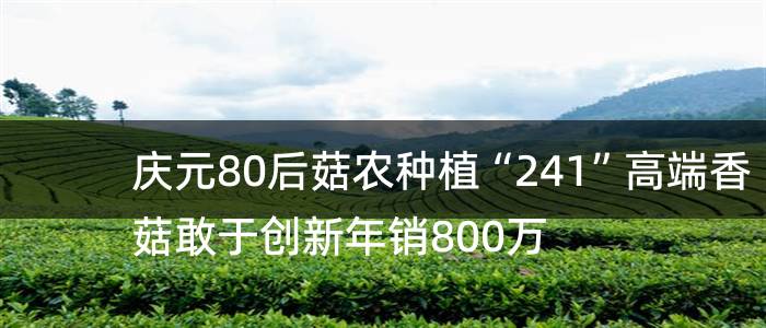 庆元80后菇农种植“241”高端香菇敢于创新年销800万