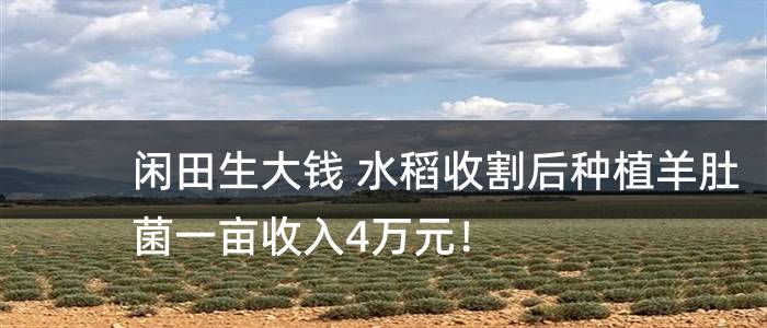 闲田生大钱 水稻收割后种植羊肚菌一亩收入4万元！