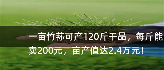 一亩竹荪可产120斤干品，每斤能卖200元，亩产值达2.4万元！